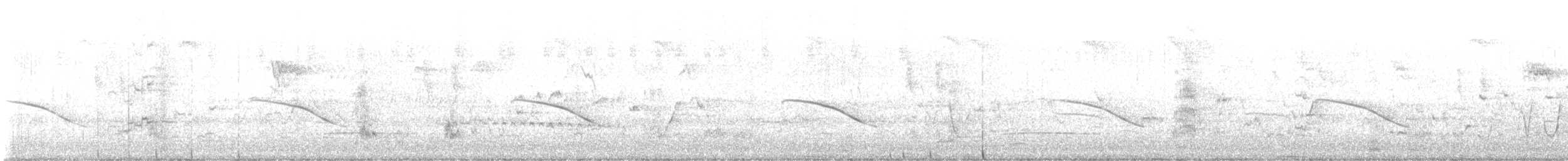 Horsfield's Bronze-Cuckoo - ML644503312