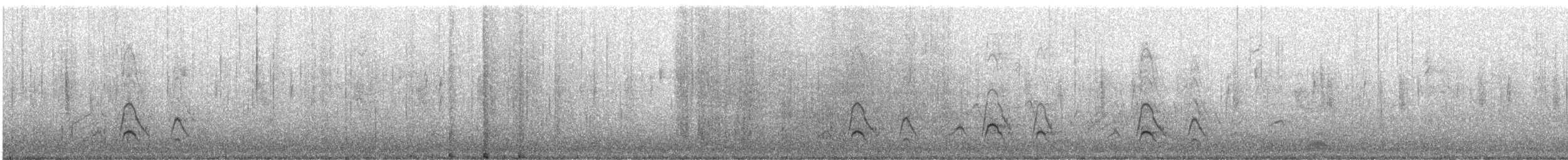 Kanadapfeifente - ML644503315