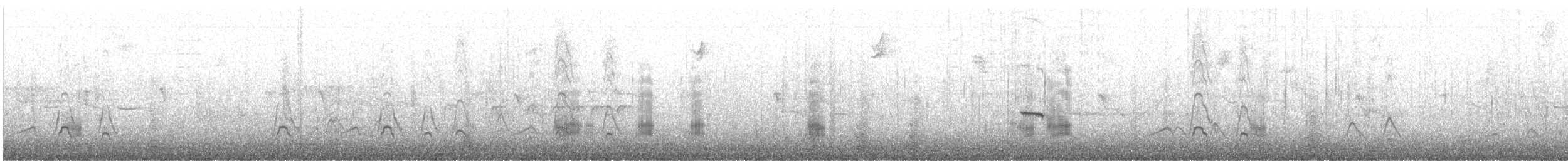 American Wigeon - ML644503337