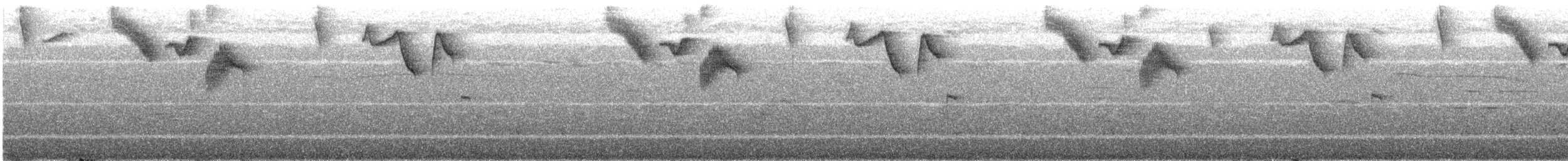 White-browed Brushfinch - ML644503652