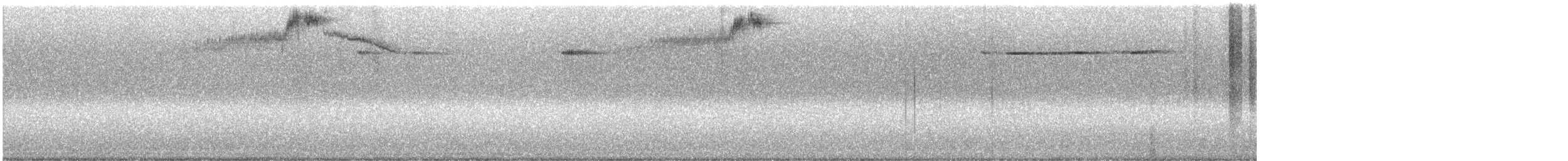 ørkenkolibri - ML644503761