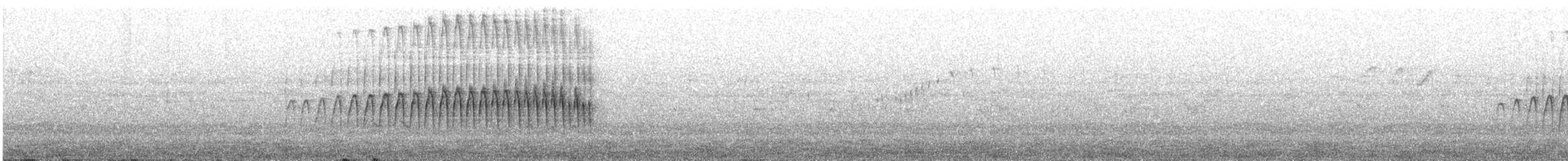 Puna Thistletail - ML644503798