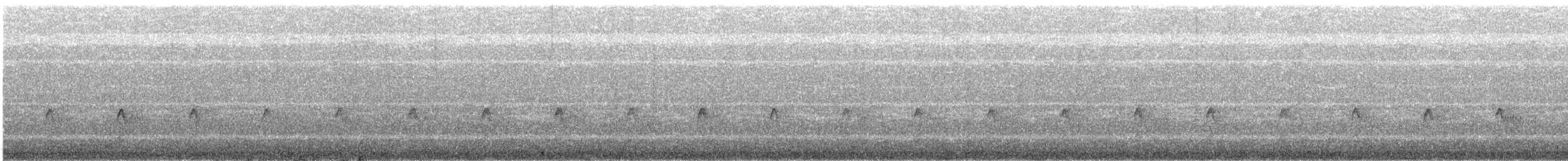 Puna Tapaculo - ML644503970