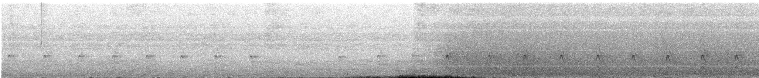 Puna Tapaculo - ML644503971