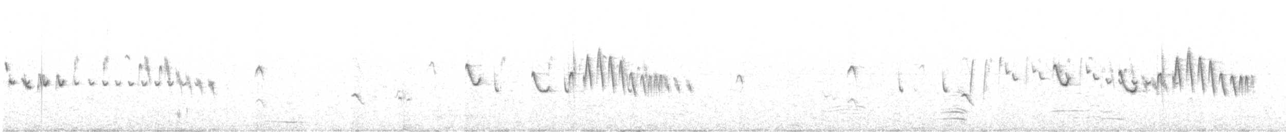 Alondra de Java - ML644504185