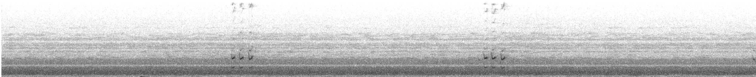 Puna Tapaculo - ML644504194