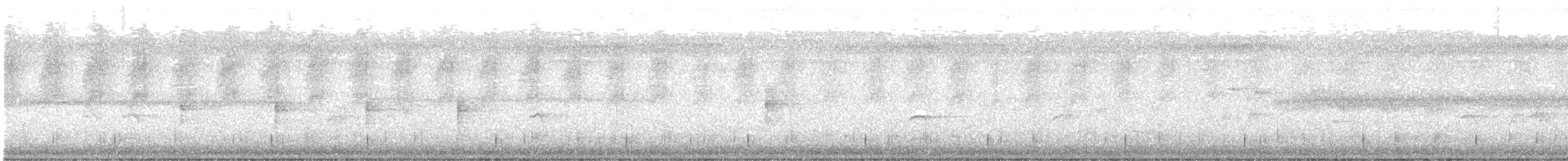 Lewin's Rail - ML644505670