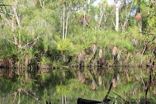 Darwin River at Darwin River Road, Litchfield, Northern Territory ...