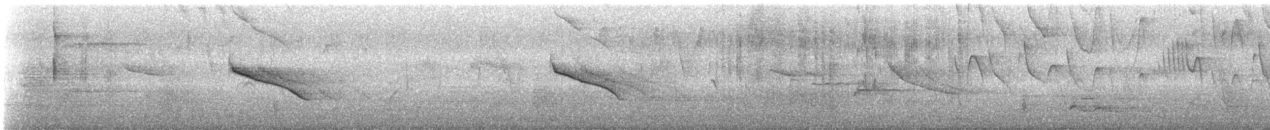 Scrub Blackbird - ML644506341