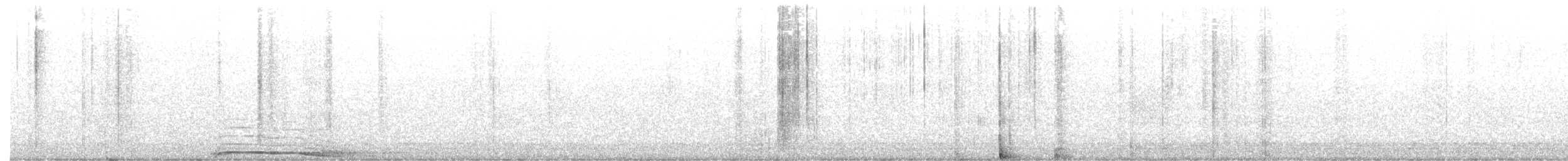 Barred Owl - ML644506415