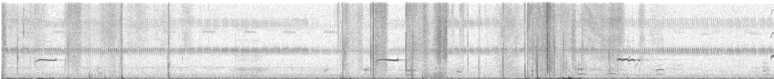 Pluvier doré - ML644506570