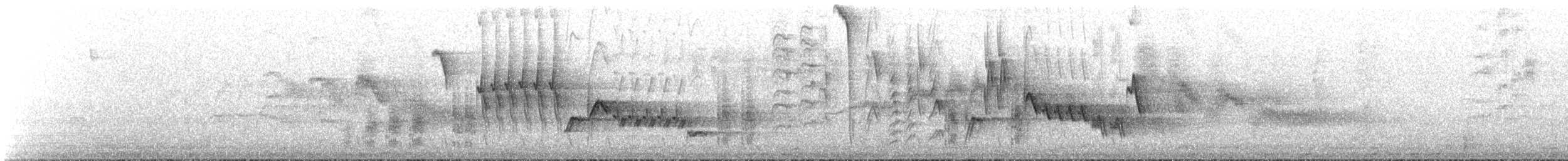 Southern House Wren - ML644506643