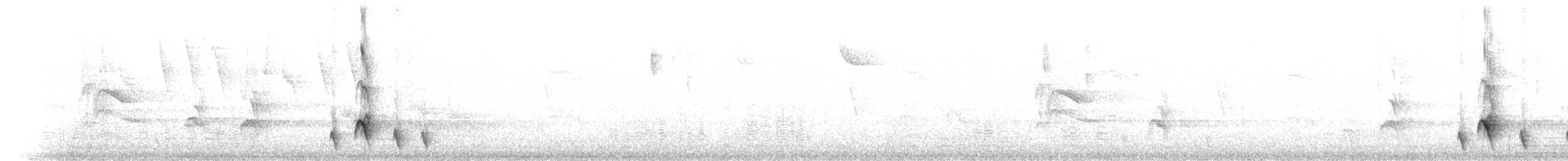 Chiguanco Thrush - ML644506713