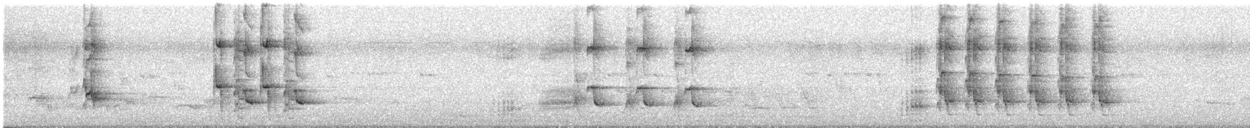 Тольт бор тодол - ML644508003