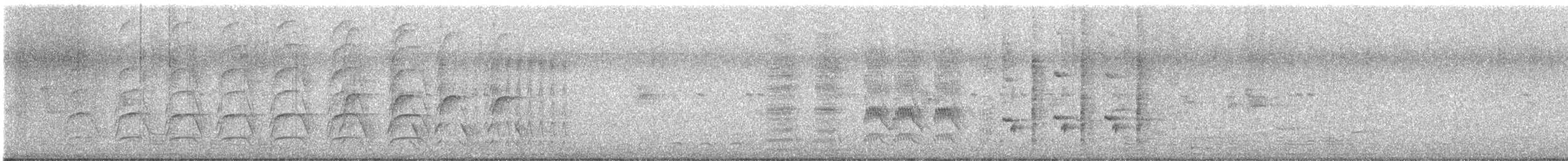 Тольт бор тодол - ML644508008