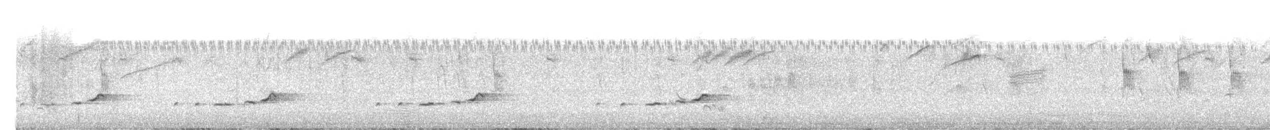 White-browed Robin-Chat - ML644508018