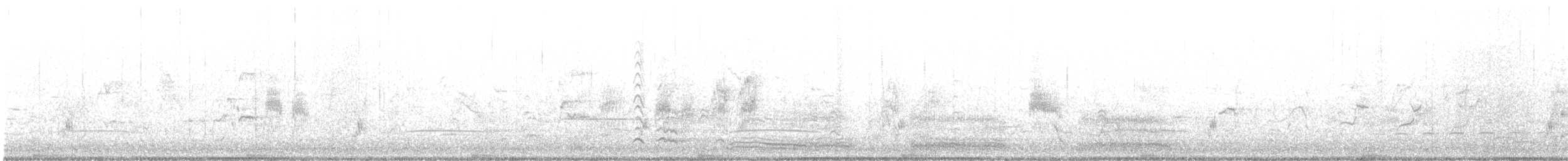 Lewin's Rail - ML644508424