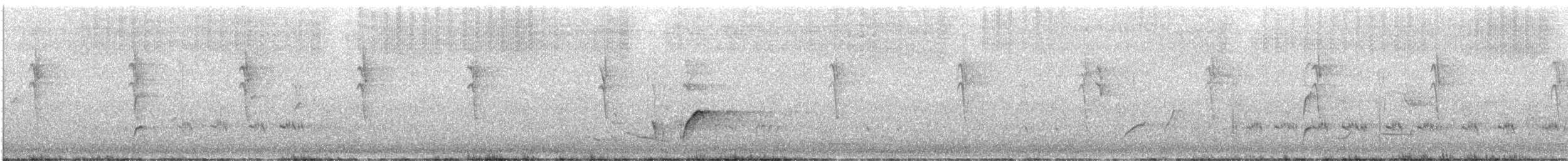 彩虹蜂虎 - ML644508499