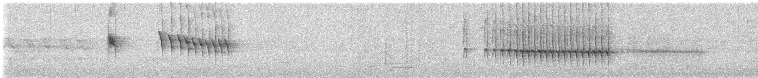 Mohoua à tête blanche - ML644510493