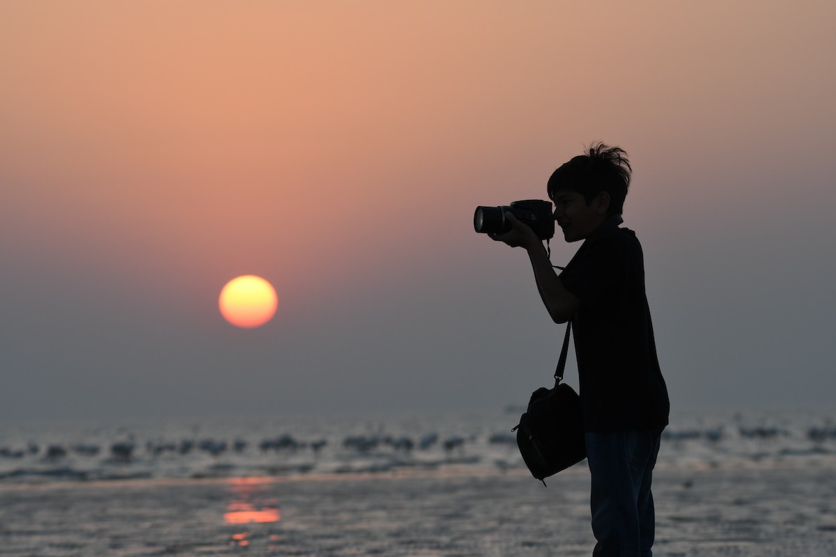 rosenflamingo - ML644511082