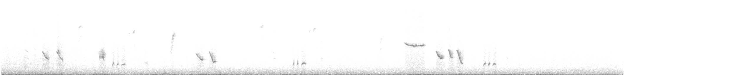 ヒロオトゲハシムシクイ - ML644512457