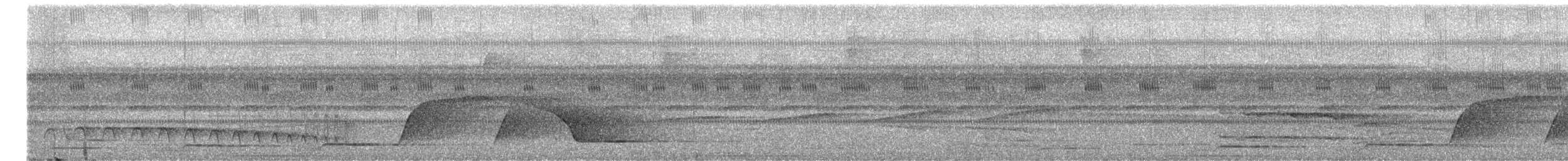 Common Scale-backed Antbird - ML644512896