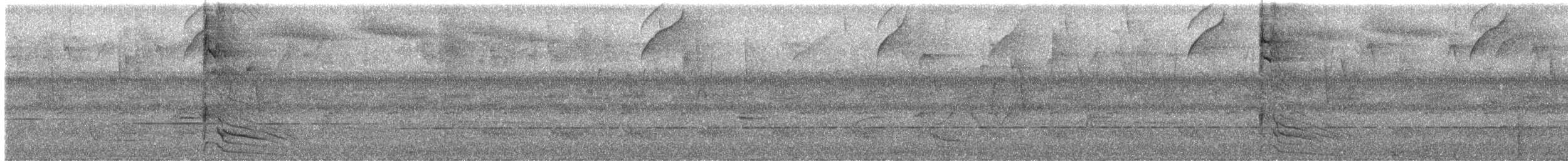 Red-necked Woodpecker - ML644513268