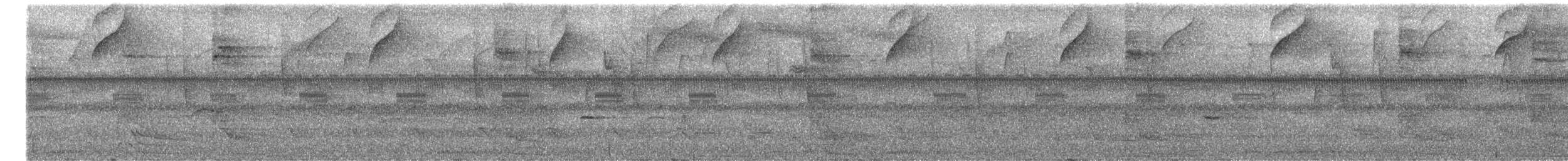 Red-necked Woodpecker - ML644513288