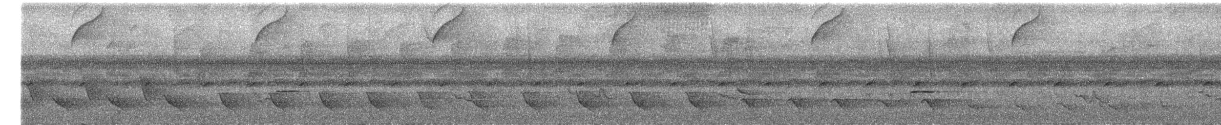 Habia bridé - ML644513304