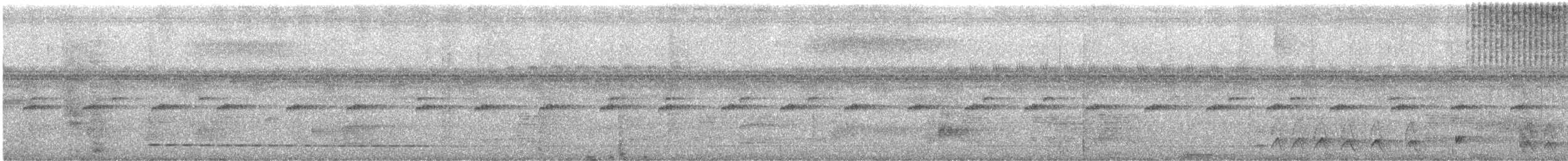 ハーディスズメフクロウ - ML644513438