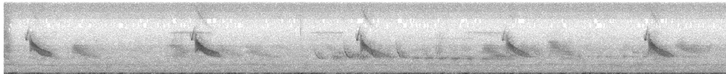 Australian Pipit - ML644513629