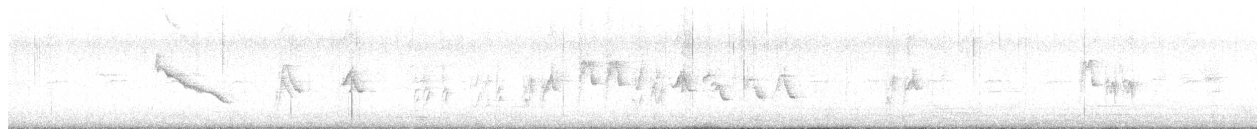 skjæreerle - ML644513976