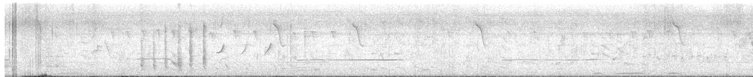 Common Iora - ML644514021