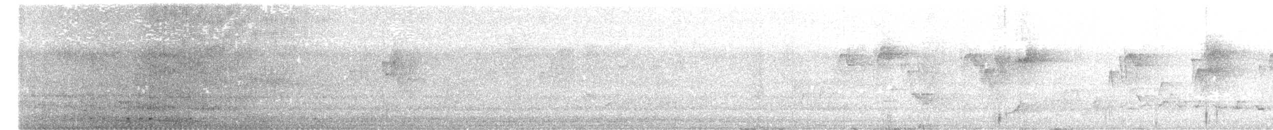 Malabar Gray Hornbill - ML644514117