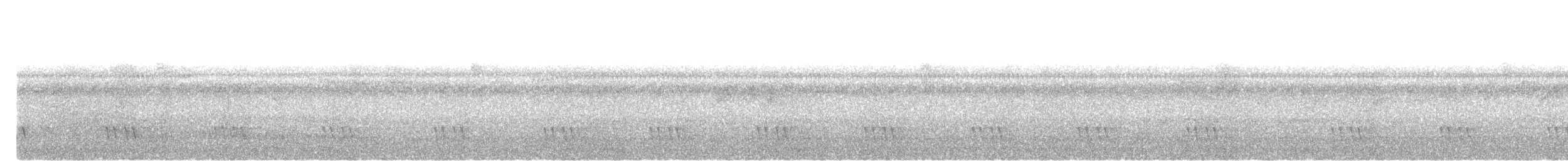 Barbu arlequin - ML644514146