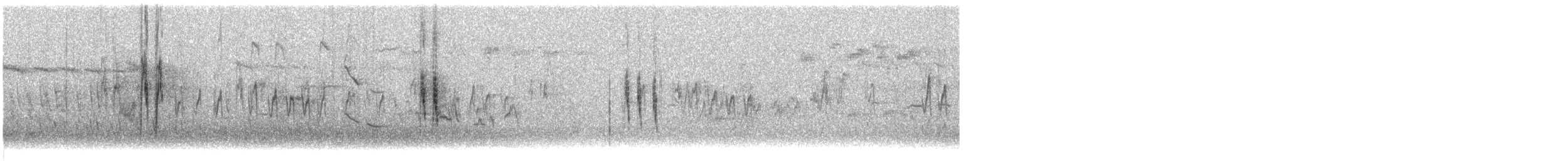 ハクセキレイ（亜種 yarrellii) - ML644514174