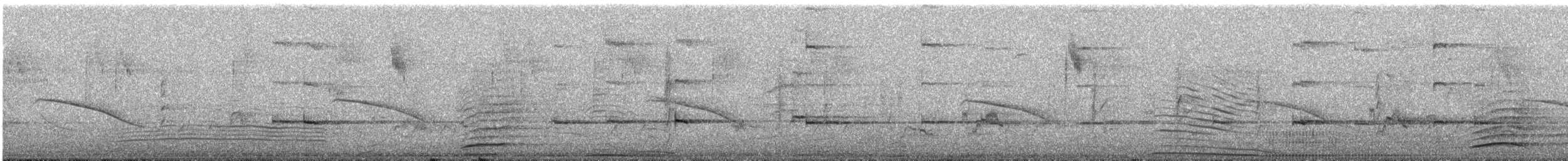 Horsfield's Bronze-Cuckoo - ML644514436