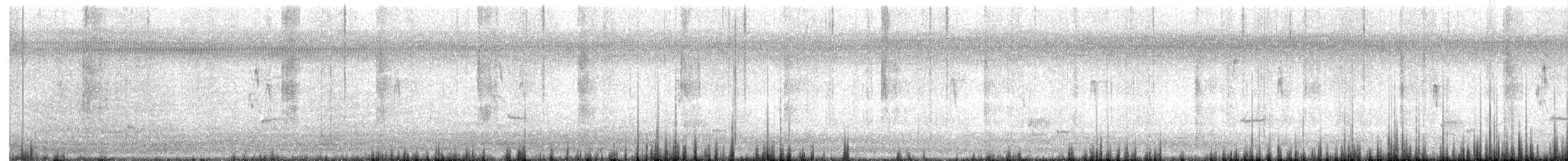 アメリカオオモズ - ML644514529