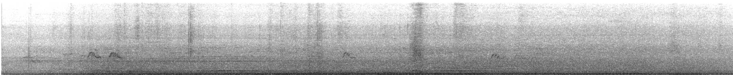 bengalbieter - ML644514586