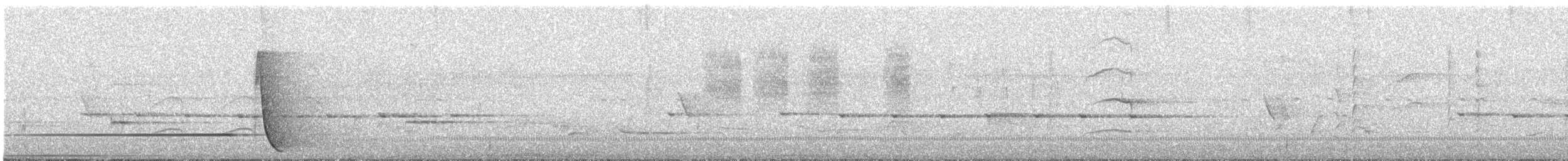 Eastern Whipbird - ML644515215