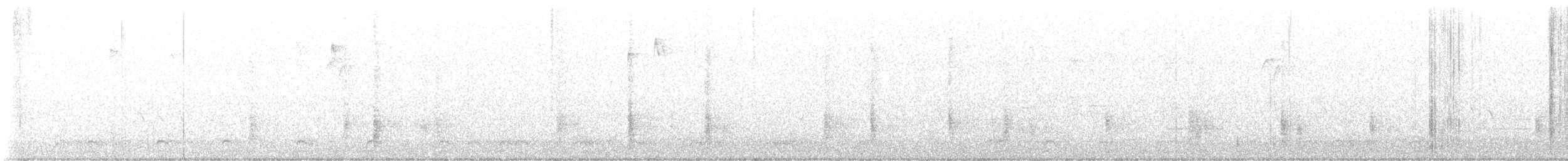 Purpurgrackel (versicolor) - ML644515263