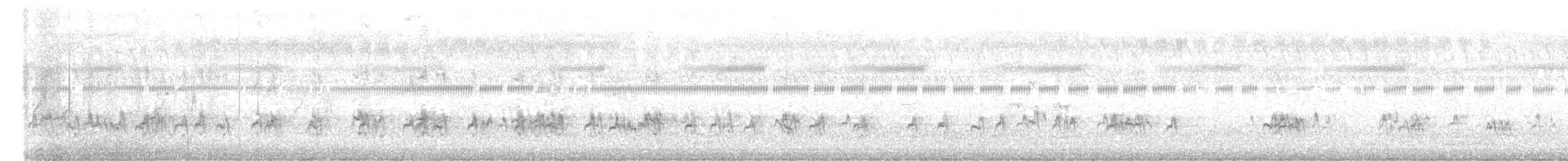 blåstjertbieter - ML644515273