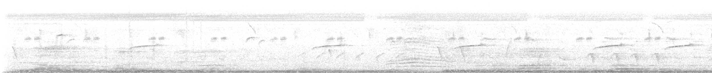 イソシギ - ML644515328