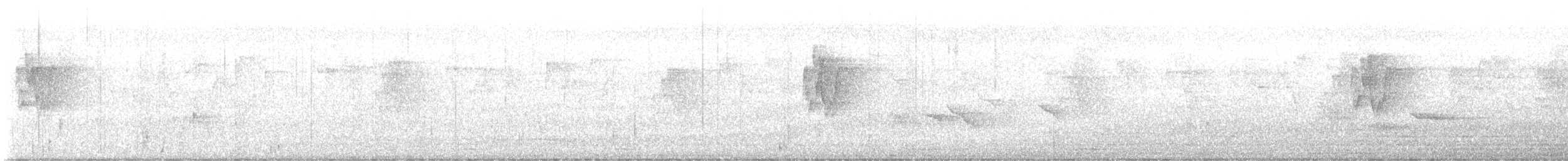 Pouillot du Caucase - ML644515352