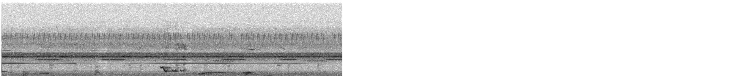 Maharadschanachtschwalbe - ML644515387