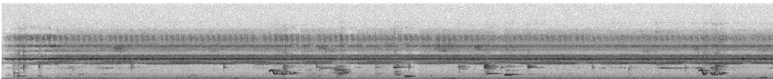 Maharadschanachtschwalbe - ML644515389