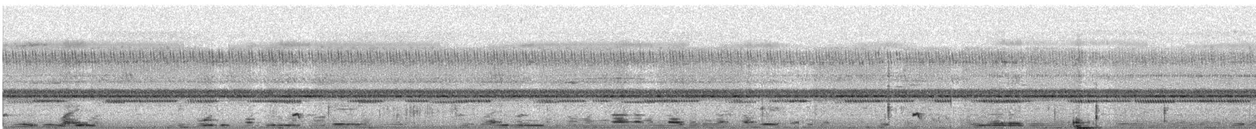 Maharadschanachtschwalbe - ML644515390