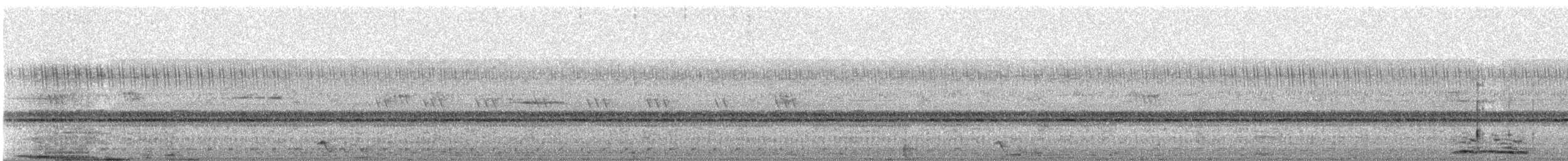 Maharadschanachtschwalbe - ML644515391