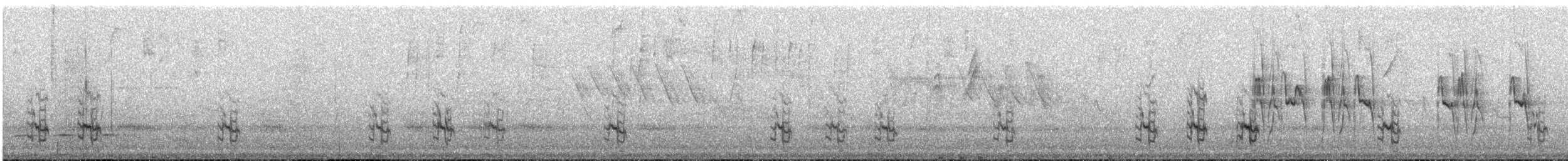 Scaly-naped Amazon - ML644515400