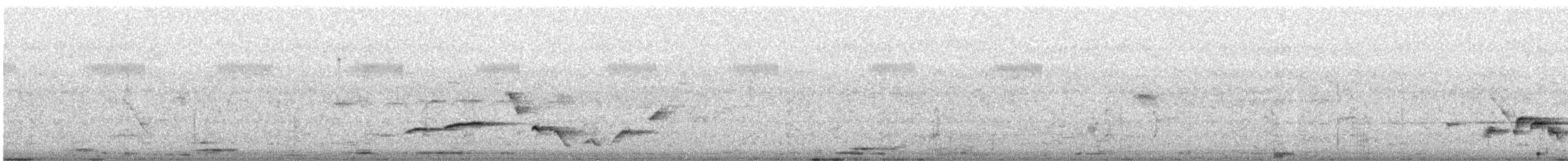 rødkronetimal - ML644515401